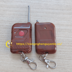 Remote cổng